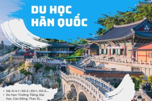 Có nên bỏ đại học để đi Hàn không?