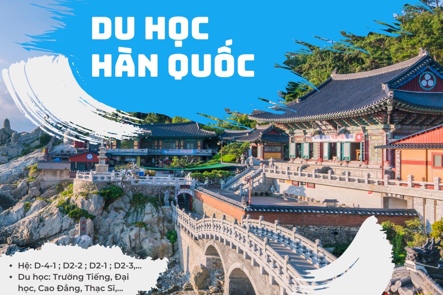 Có nên bỏ đại học để đi Hàn không?