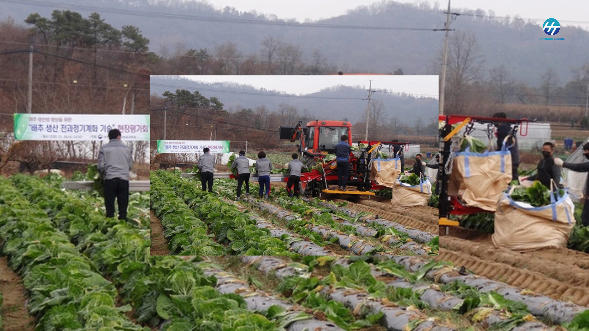 Phiên dịch hoặc trợ lý sự kiện